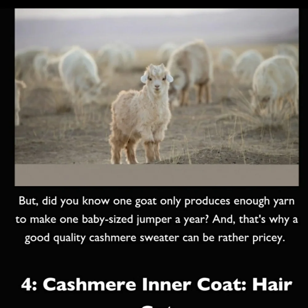 Mika and Milo cashmere ply